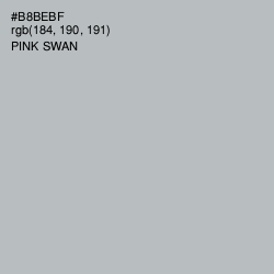 #B8BEBF - Pink Swan Color Image
